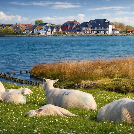 Appartement Ort Lemkenhafen Melchinger Fehmarn